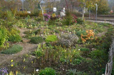31.10.09.JPG
