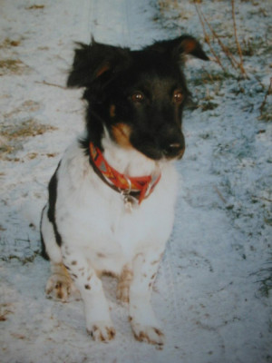 Dickie_1995.jpg