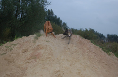 Sandstuerme_0010__9667.jpg