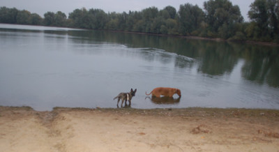 Bad_im_See_0010__9669.jpg