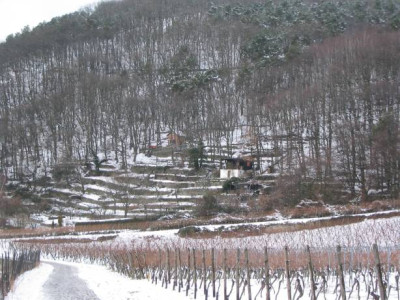 Garten_Lage_Schnee_20050220.jpg