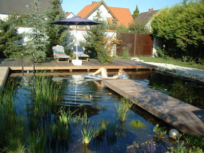 Teich_2008.jpg