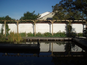 Schwimmteich.JPG