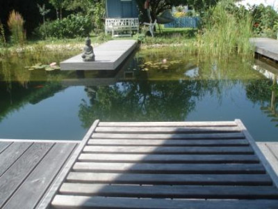 Teich_Richtung_Baumhaus.JPG