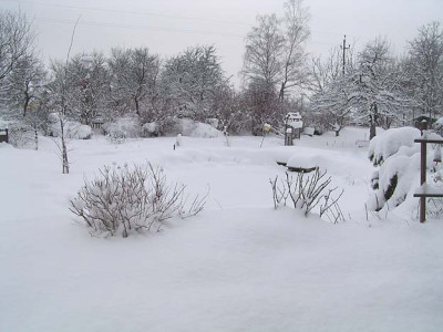 ganzer_garten.jpg