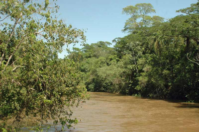 0016_Argentinien_2009_Bc.jpg