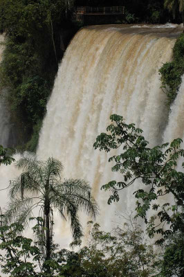 0010_Argentinien_2009_Bc.jpg