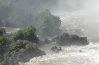 0013_Argentinien_2009_Bc.jpg