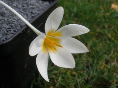PB200107.2.jpg