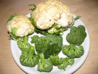 K640_IMG_1151.JPG