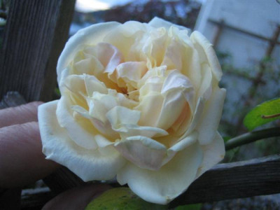 01-11-2009_005_Small.jpg