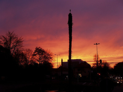 unter_den_toten_palmen_bgbm_berlin2009.jpg
