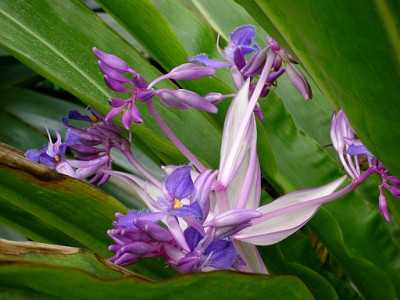 b2211256_512.jpg