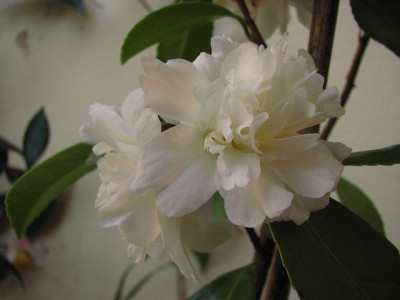 k-200911.20_077.jpg