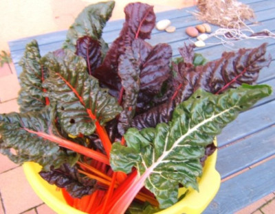 DSCF5150.JPG