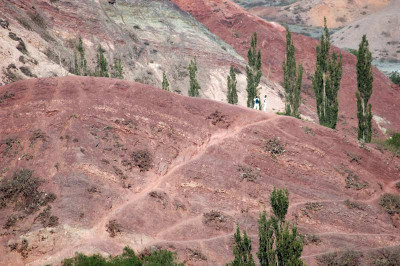 0115_Argentinien_2009_Bc.jpg