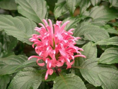 Testbild_006.jpg