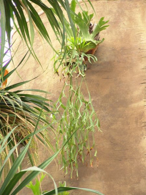 Testbild_008.jpg