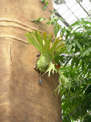 Testbild_009.jpg