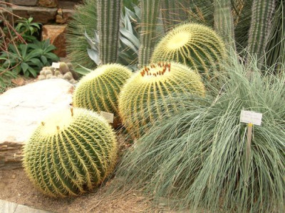Testbild_014.jpg
