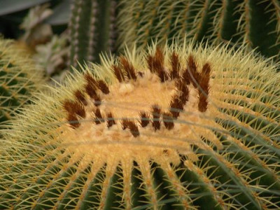 Testbild_015.jpg