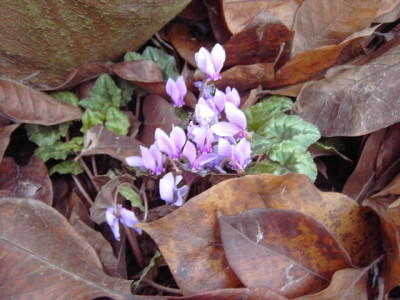 PICT3781.JPG
