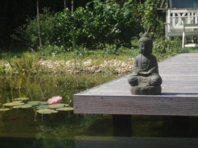 Buddha.jpg