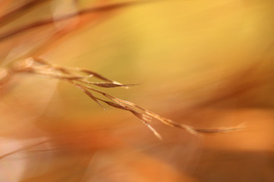 Gegen-das-Novembergrau.jpg