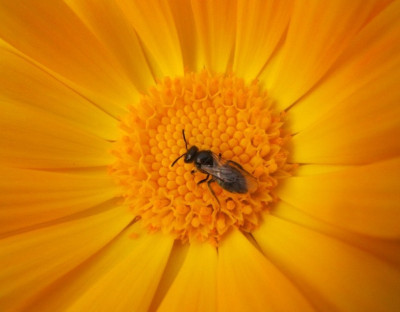 DSCF5204.JPG