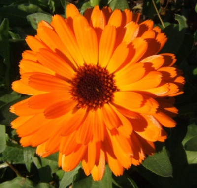 DSCF5191.JPG