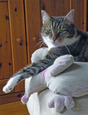elwood_01.jpg