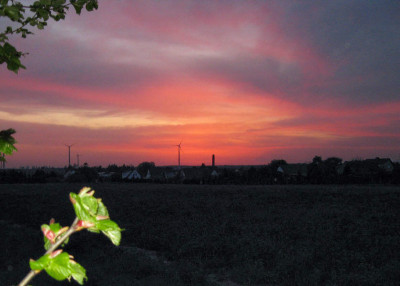 Sonnenuntergang-0a.jpg