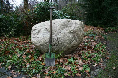 SteinreichIMG_4773jpg.jpg