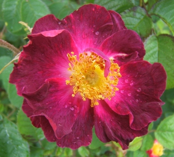 DSCF8360.JPG