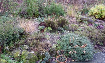 Steingarten_Winter_2_fars_2009.jpg