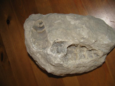 K800_IMG_1168.JPG