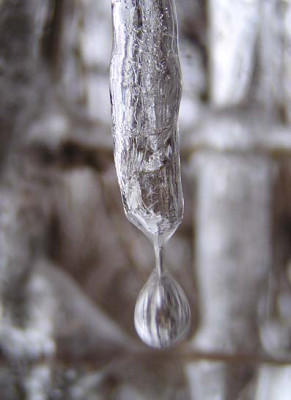 eiszapfentropfen.jpg