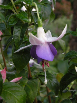 DSCN2485.JPG