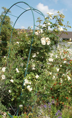 Sombreuil_Clg_0015__T1_56318.jpg