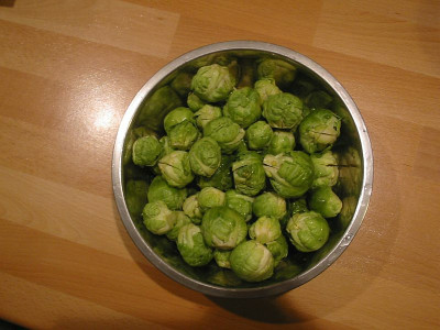 Ernte_11.12.09.jpg