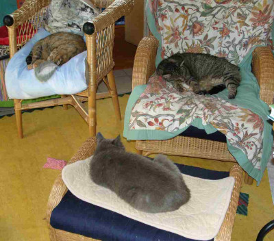 Katzensitzgruppe.jpg