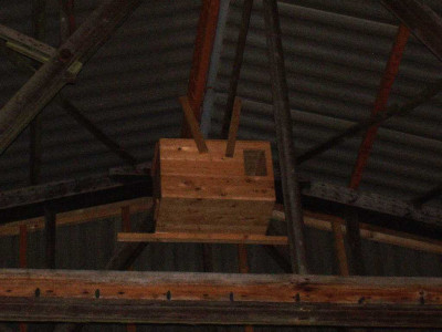 Eulenkasten1_ue.jpg