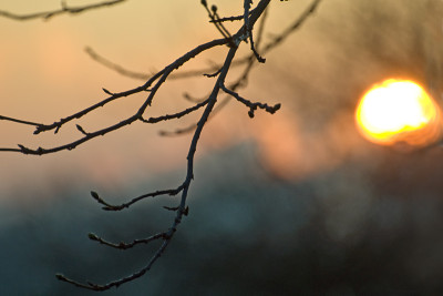Wintersonne-Dez1509.jpg
