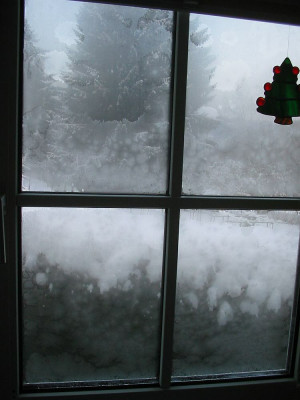 Eisfenster_19.12.09.jpg