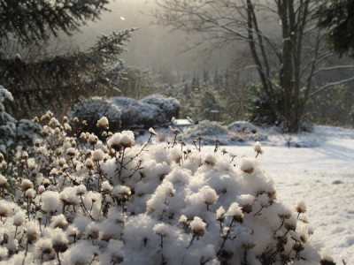endlich_schnee_02.jpg