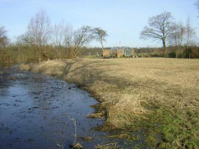 Ufer.JPG