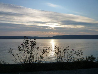 P1000953.JPG