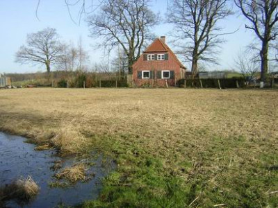 Wiese_fontal.JPG