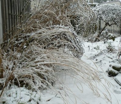 Schwerer_Schnee_k.jpg