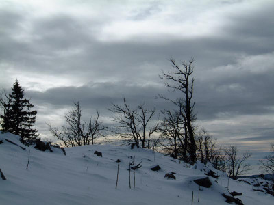 DSCF0421.JPG
